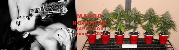 гидра Тольятти