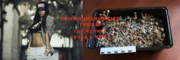apvp Мегион