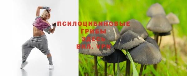 гидра Липки
