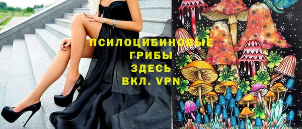 скорость Лагань
